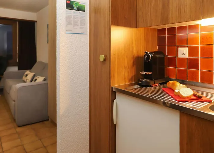 Arnica 16 By Interhome Nendaz