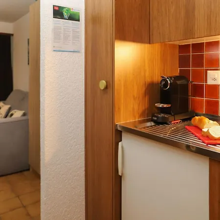 Arnica 16 By Interhome Nendaz