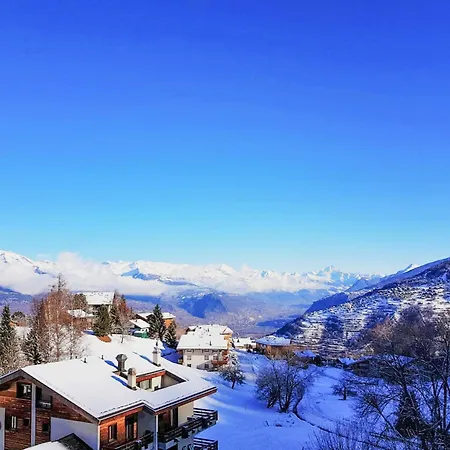 Apartament Arnica 16 By Interhome *